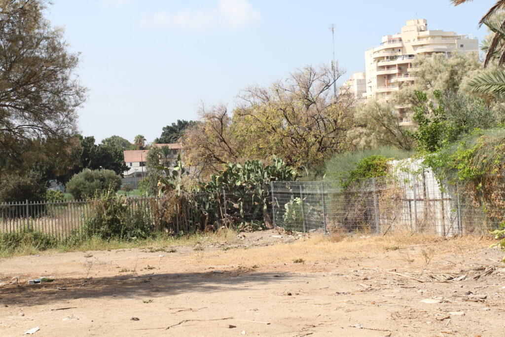 עותק של IMG_4378