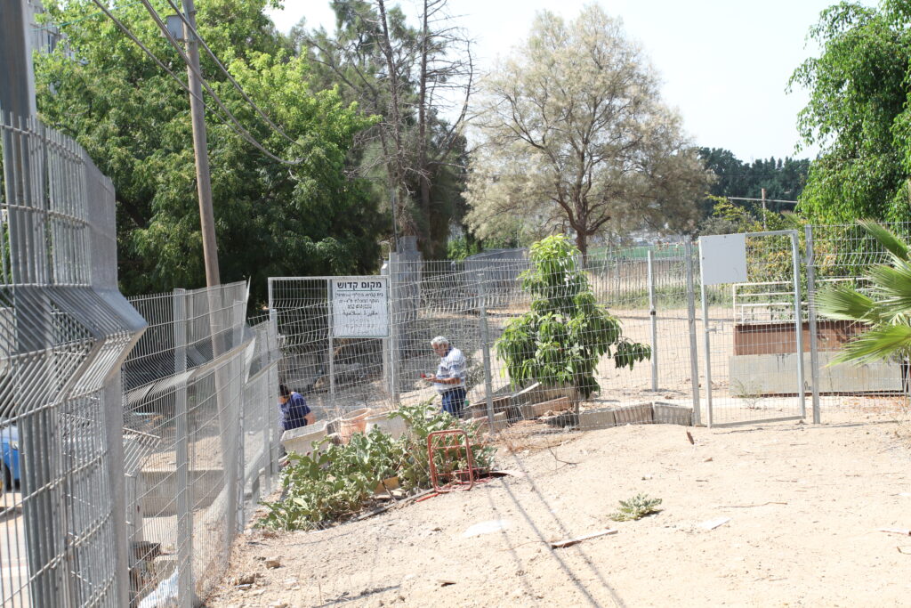 עותק של IMG_4386