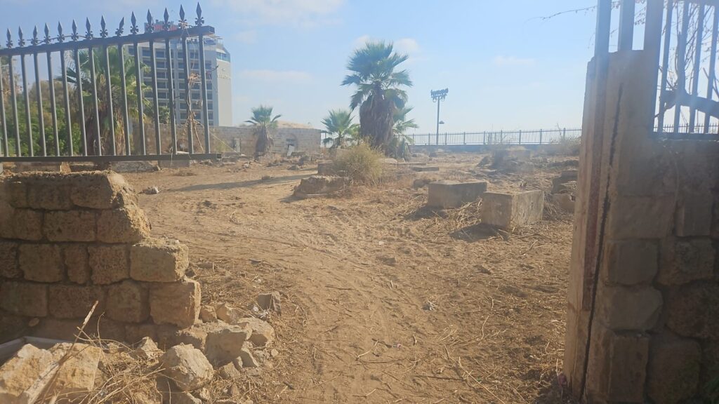 תמונה של WhatsApp‏ 2024-08-07 בשעה 17.08.16_020725fa